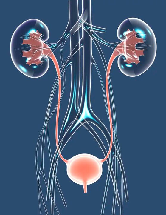 Tervisliku mehe tervise illustratsioon